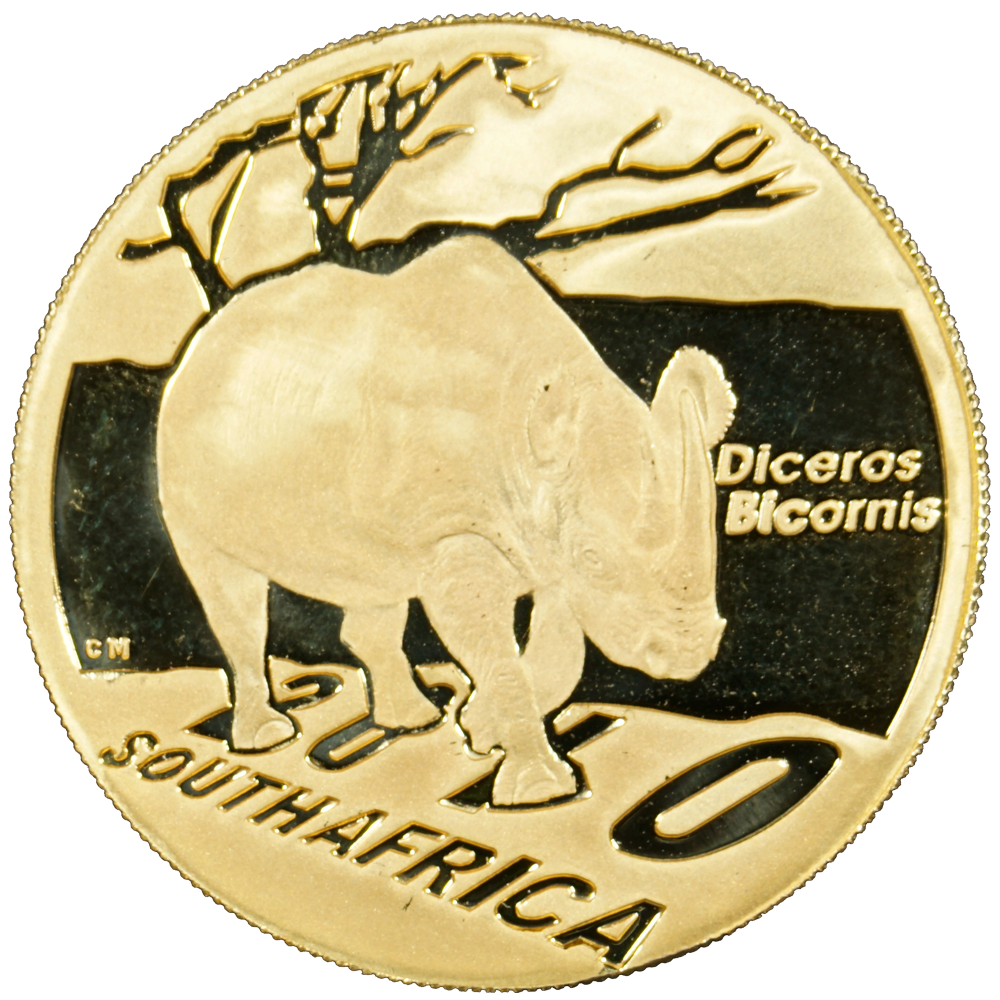 24436-Frente 24436-Frente