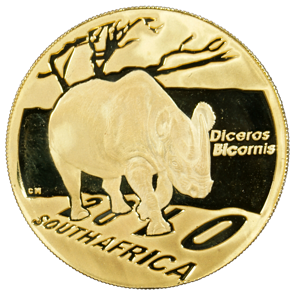 24437-Frente 24437-Frente