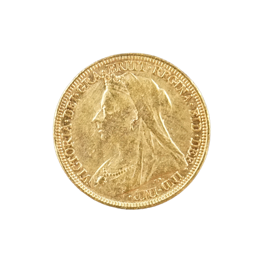 store_article_WviligW4di.png store_article_WviligW4di.png